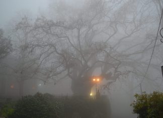 Άγχος. Τι είναι και πως αντιμετωπίζεται!