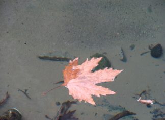 Πάλι λάθος άνθρωπος…