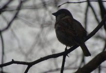 Jealousy. Why are we jealous and what can we do?