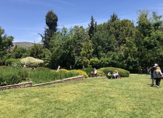 Είναι γεγονός – Περάστε χρόνο στη φύση, κάνει καλό στην υγεία!