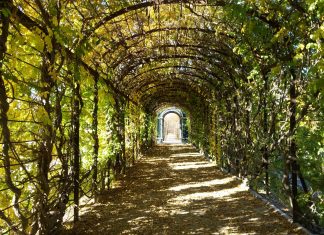 Περπάτημα: άσκηση πρώτης επιλογής!