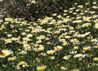 Πώς μπορεί η εμμηνόπαυση να είναι μια καλή περίοδος της ζωής μου;