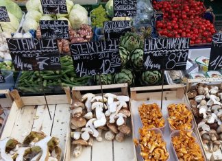 Διατροφή και οστεοαρθρίτιδα: Πώς συνδέονται; Ποια τρόφιμα να επιλέγω και ποια να αποφεύγω;