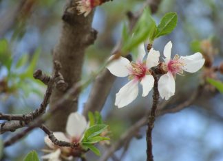 Όλα όσα πρέπει να γνωρίζετε για την γυναικεία ακράτεια!