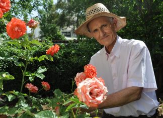 Αντρική Οστεοπόρωση