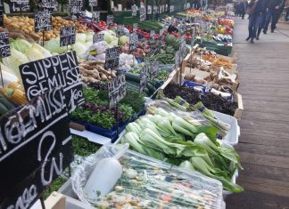 Βιταμίνη Κ και Σκελετική Υγεία