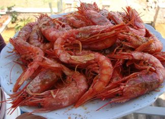 Ουρική Αρθρίτιδα