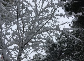 Κατάθλιψη στην εμμηνόπαυση
