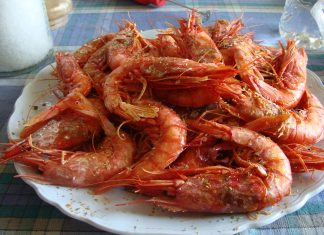 Όσα δεν ξέρουμε για την νηστεία…