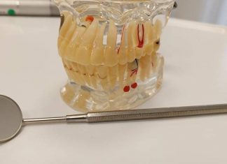 Η σημαντική συμβολή του οδοντιάτρου στην οστεοπόρωση