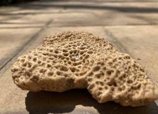 Μπορούμε να προλάβουμε την οστεοπόρωση;