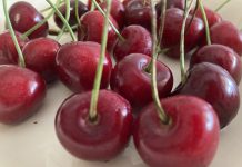 Irritable Bowel Syndrome: How Is It Related To Osteoporosis?