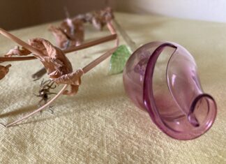 Δυσμορφίες προσώπου