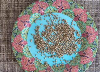 Νηστεία και ασβέστιο