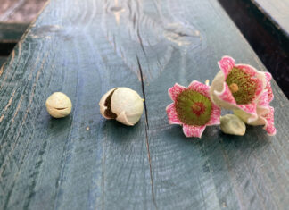 Τα 5 μυστικά της ευτυχισμένης γυναίκας