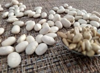 Υπάρχουν και άλλες τροφές εκτός από τη σόγια που περιέχουν φυτοοιστρογόνα;